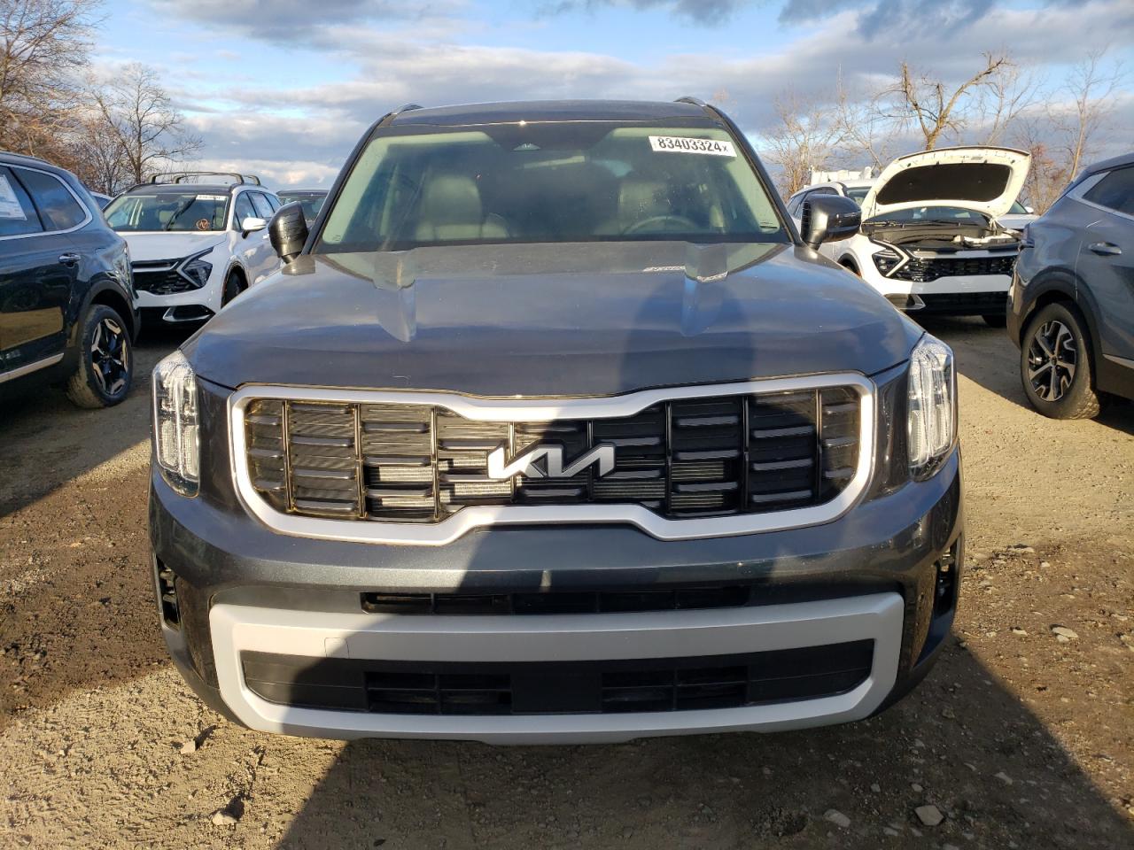 2024 KIA TELLURIDE S VIN:5XYP64GC8RG553197