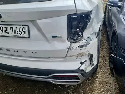 2021 Kia Sorento KNARK81GDMA000615 VIN:KNARK81GDMA000615