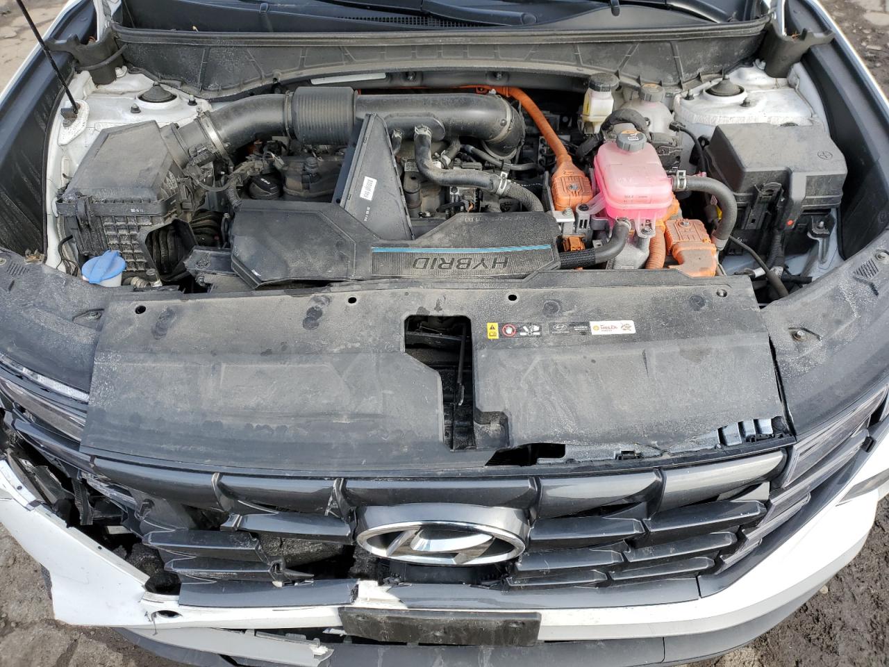 2023 HYUNDAI TUCSON BLUE VIN:KM8JBCA11PU131802