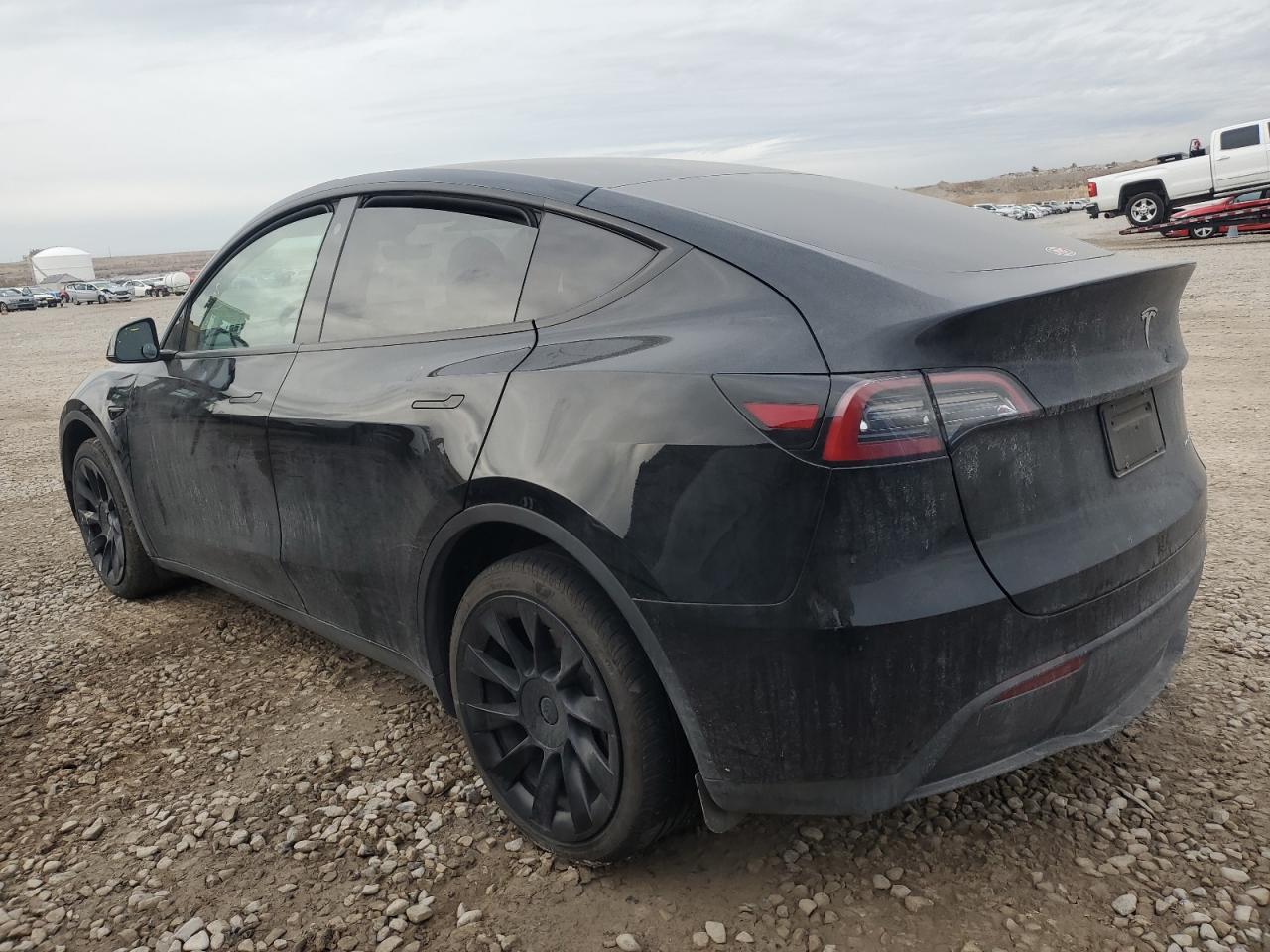 2023 TESLA MODEL Y  VIN:7SAYGAEE8PF772964