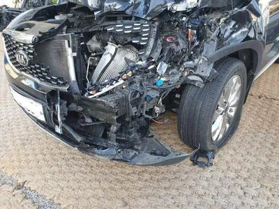 2019 Kia Sorento KNAPK81ABKA541951 VIN:KNAPK81ABKA541951