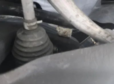 2021 BMW 320 WBA6L5106MFL34501 VIN:WBA6L5106MFL34501