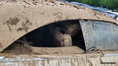 2019 Mercedes-Benz E 220 WDD1K1EB0KF115623 VIN:WDD1K1EB0KF115623