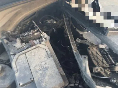 2019 Hyundai Santa FE VIN: