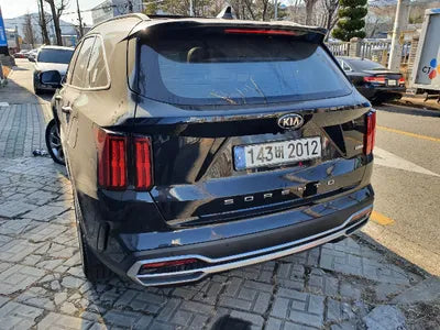 2021 Kia Sorento KNARH81FGMA078773 VIN:KNARH81FGMA078773
