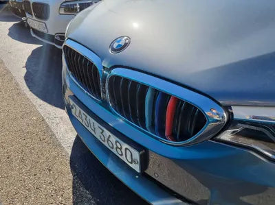 2020 BMW 520 WBAJF5105LWW55090 VIN:WBAJF5105LWW55090