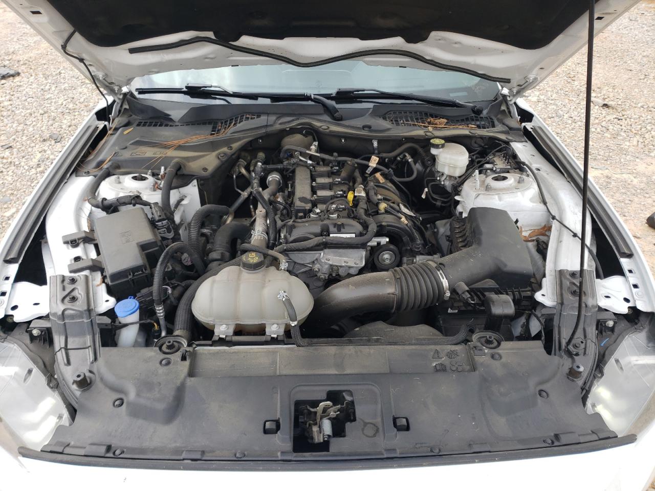 2023 FORD MUSTANG  VIN:1FA6P8TH8P5102168