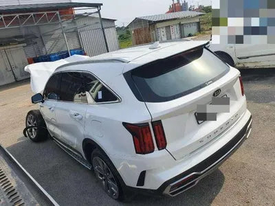 2020 Kia Sorento KNARK81BGMA038540 VIN:KNARK81BGMA038540