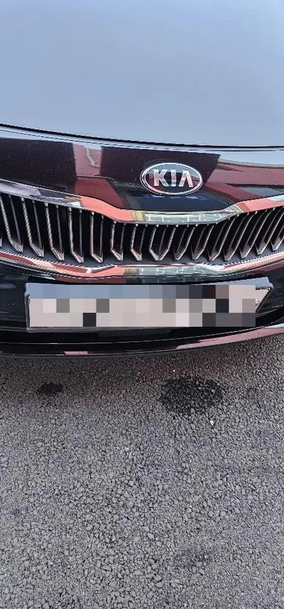 2019 Kia K5 KNAGU411BKA265258 VIN:KNAGU411BKA265258