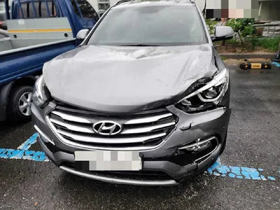 2016 Hyundai Santa FE KMHSW81UBGU620203 VIN:KMHSW81UBGU620203