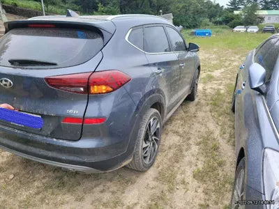 2019 Hyundai Tucson KMHJ5817GKU863012 VIN:KMHJ5817GKU863012