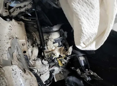 2020 Kia Sorento KNAPS81BBLA570113 VIN:KNAPS81BBLA570113