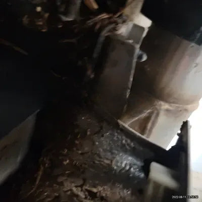 2021 BMW X4 M NONE VIN: