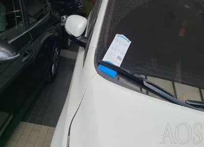 2017 Kia Carnival 318KMKNAME81ABHS3 VIN:318KMKNAME81ABHS3