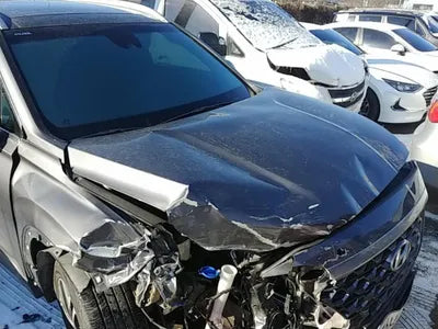 2018 Hyundai Santa FE KMHS381BBKU070833 VIN:KMHS381BBKU070833