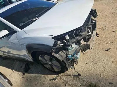 2019 Hyundai Kona KMHK281GFKU039495 VIN:KMHK281GFKU039495