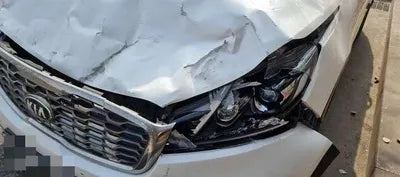 2019 Kia Sorento KNAPK81BDLA554946 VIN:KNAPK81BDLA554946