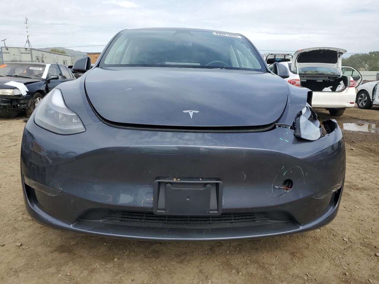 2023 TESLA MODEL Y  VIN:7SAYGDEE2PF824672