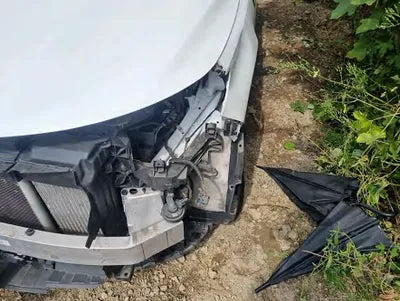 2021 Kia Sorento KNARK81GDMA000615 VIN:KNARK81GDMA000615