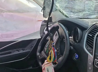 2018 Hyundai Santa FE KMHSW81UBJU791337 VIN:KMHSW81UBJU791337