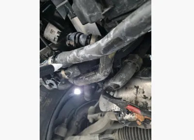 2020 Mercedes-Benz S 560 W1KUG8GB4LA565844 VIN:W1KUG8GB4LA565844