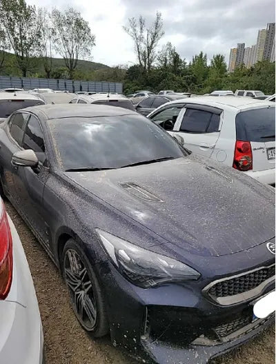 2021 Kia Stinger KNAE351DDMS111434 VIN:KNAE351DDMS111434