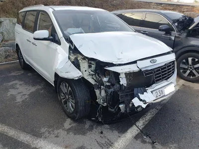 2019 Kia Carnival KNAMB81ABKS556683 VIN:KNAMB81ABKS556683