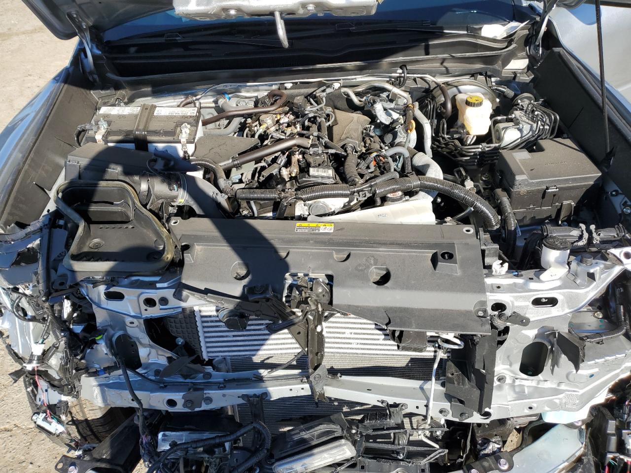 2024 TOYOTA TACOMA DOUBLE CAB VIN:3TMKB5FN4RM004744