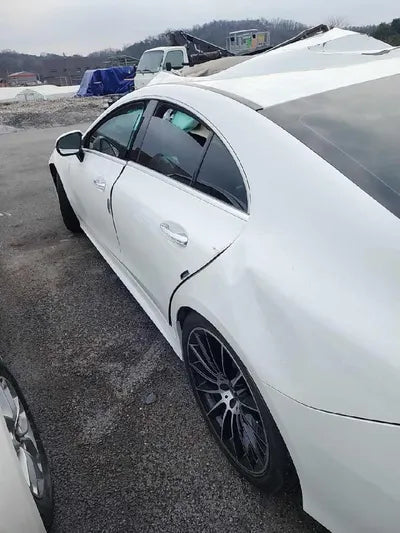 2019 Mercedes-Benz CLS 450 VIN: