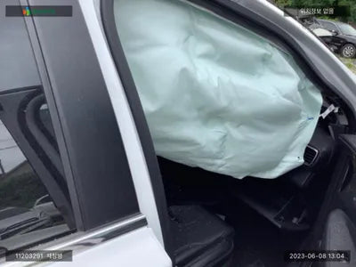 2018 Hyundai Santa FE KMHS281BBKU006904 VIN:KMHS281BBKU006904