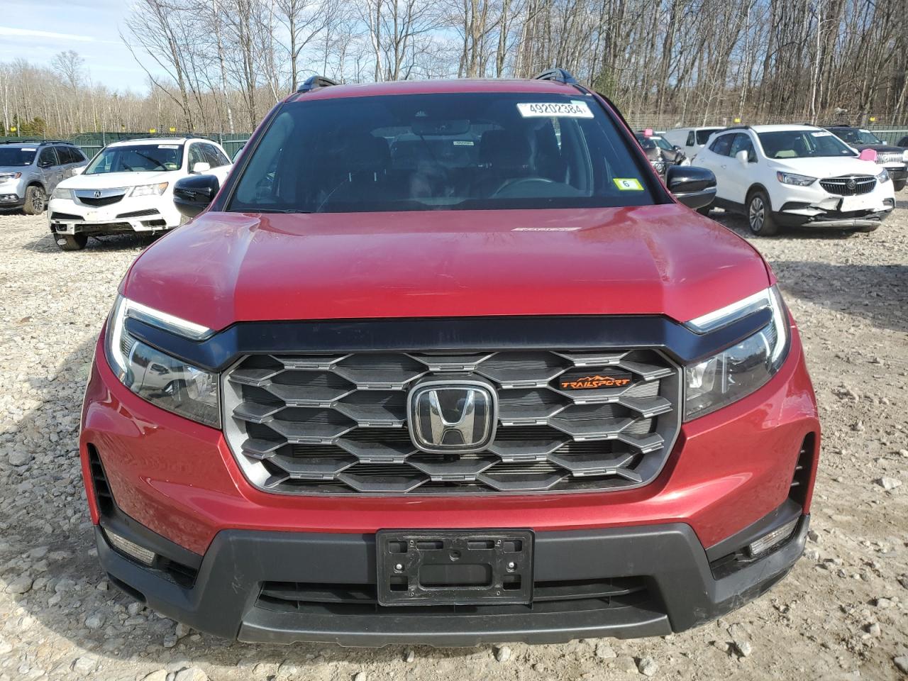 2023 HONDA PASSPORT TRAIL SPORT VIN:5FNYF8H61PB029379