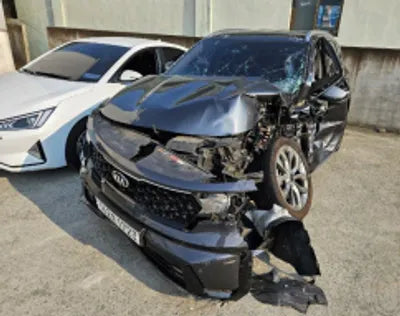 2021 Kia Sorento KNARL81BGMA078047 VIN:KNARL81BGMA078047