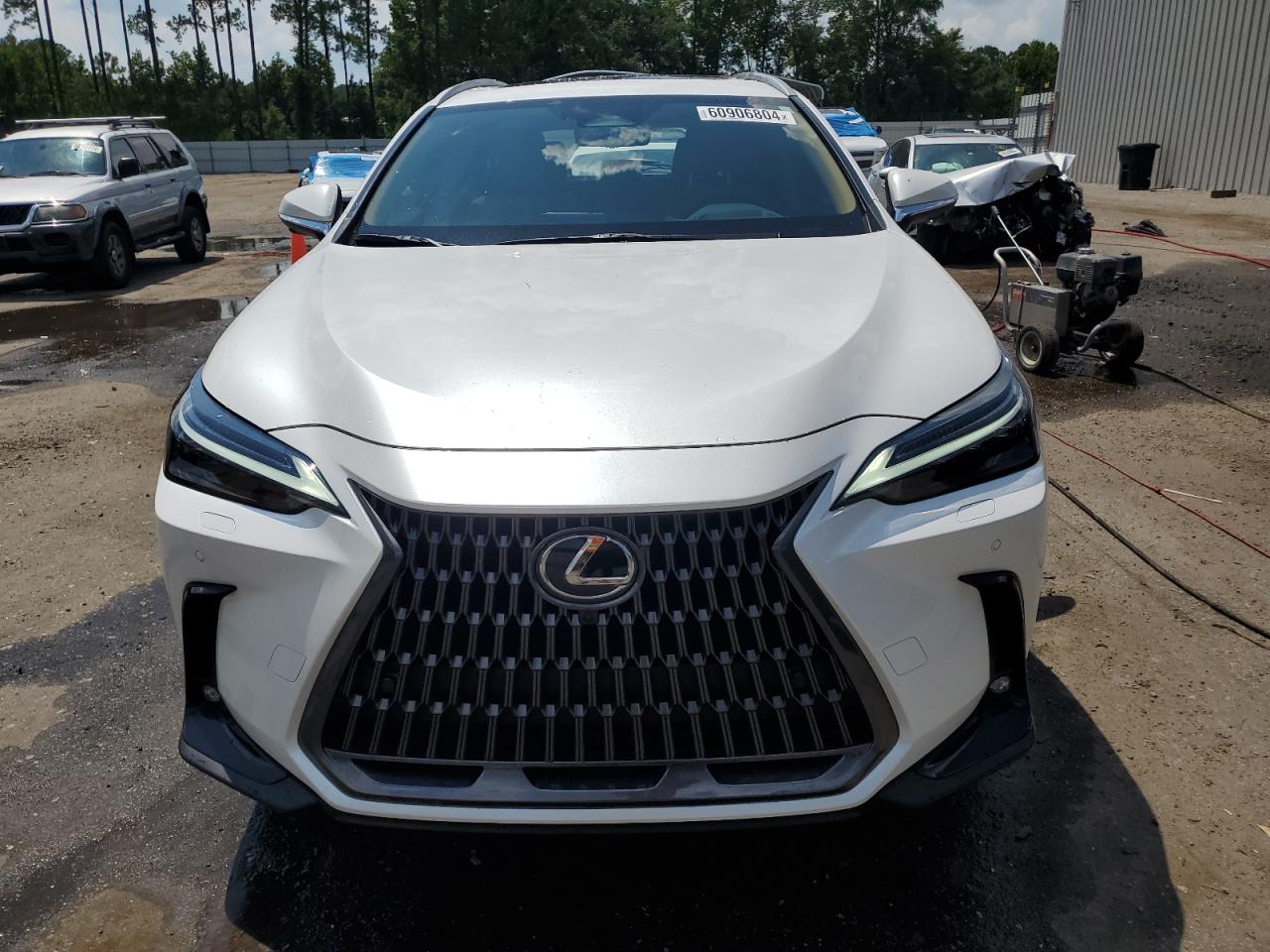 2024 LEXUS NX 350 LUXURY VIN:2T2HGCEZ5RC056117