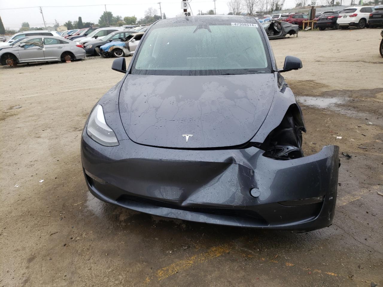 2023 TESLA MODEL Y  VIN:7SAYGDED1PF943434