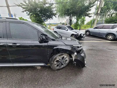 2021 Kia Carnival KNANC81BBMS050231 VIN:KNANC81BBMS050231