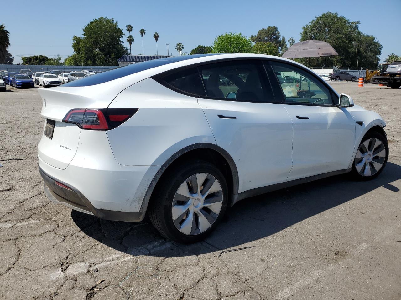 2023 TESLA MODEL Y  VIN:7SAYGDEE8PF616800