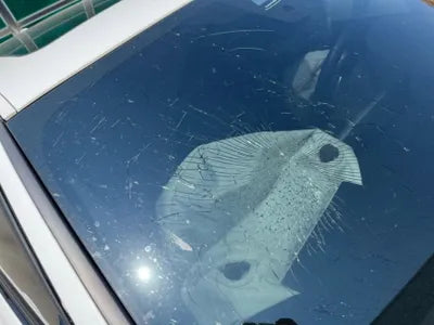 2018 BMW 320 WBA8C510XJA075190 VIN:WBA8C510XJA075190