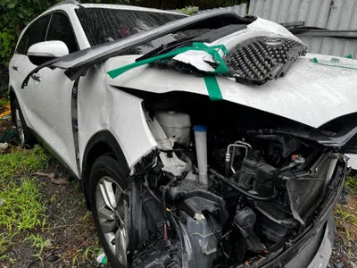 2017 Kia Sorento KNAPS81ABHA320473 VIN:KNAPS81ABHA320473