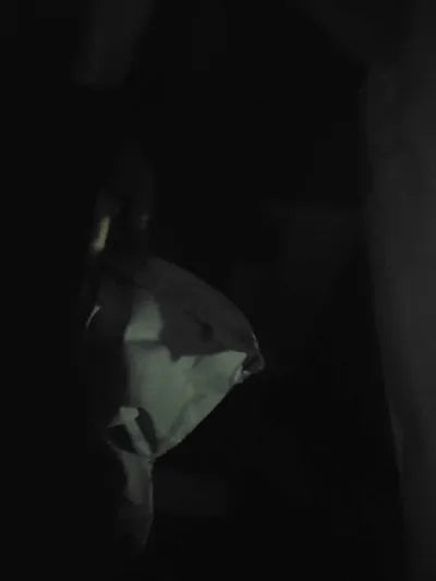 2019 Hyundai Santa FE KMHS381ABLU245387 VIN:KMHS381ABLU245387