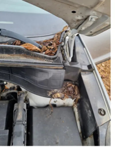 2016 Hyundai Tucson KMHJ381ADGU176392 VIN:KMHJ381ADGU176392