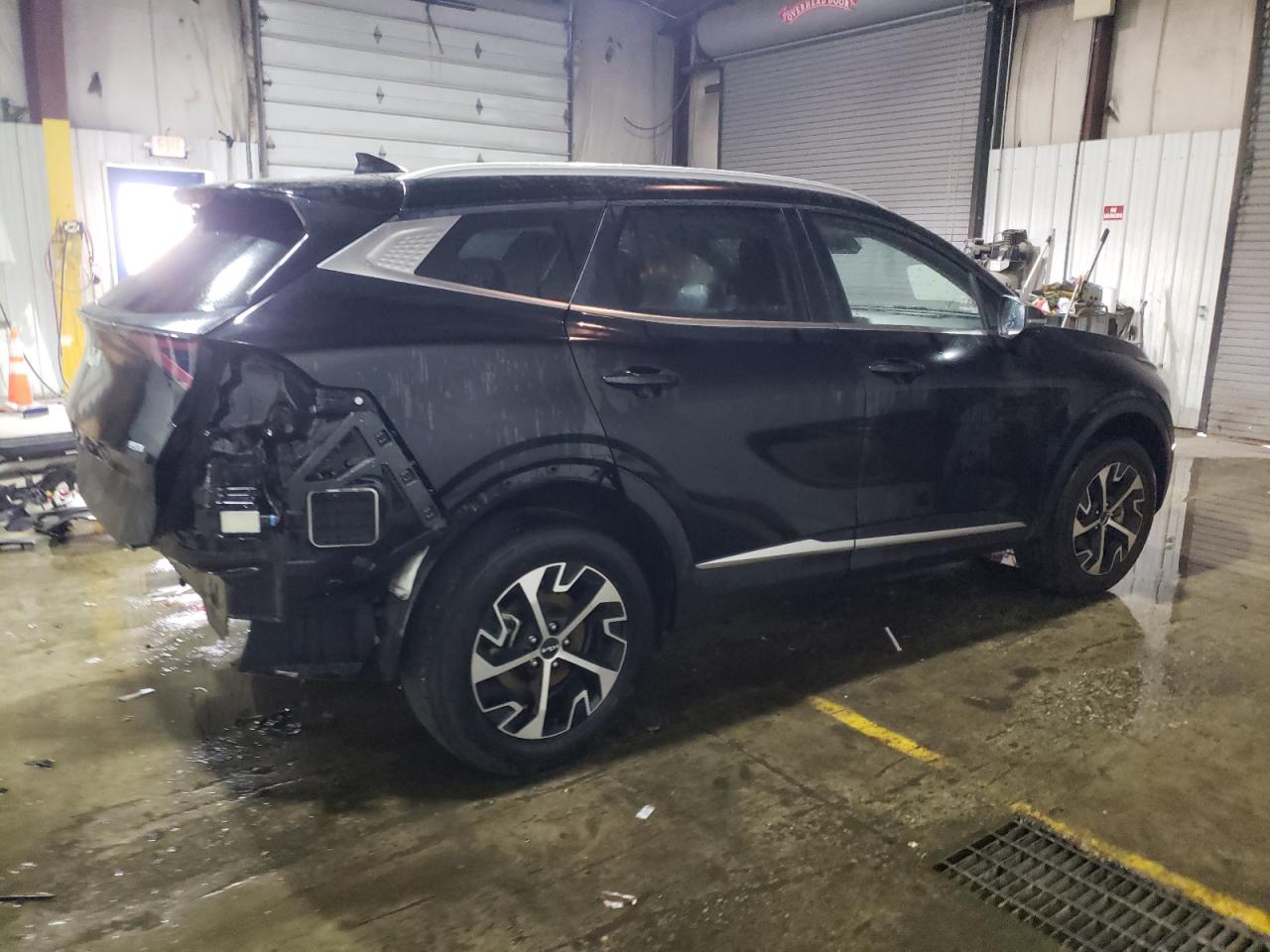2023 KIA SPORTAGE EX VIN:5XYK3CAF6PG013439