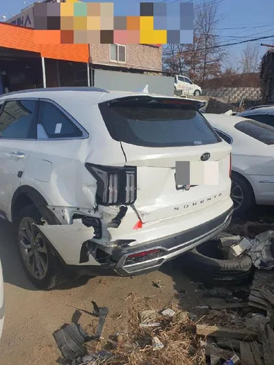 2020 Kia Sorento KNAPH81ABLA602766 VIN:KNAPH81ABLA602766