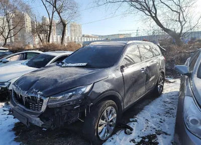 2019 Kia Sorento KNAPS81ABKA509598 VIN:KNAPS81ABKA509598