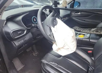 2021 Hyundai Santa FE KMHS381HGMU346731 VIN:KMHS381HGMU346731