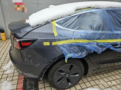 2020 Tesla Model 3 5YJ3E1EB7LF725423 VIN:5YJ3E1EB7LF725423