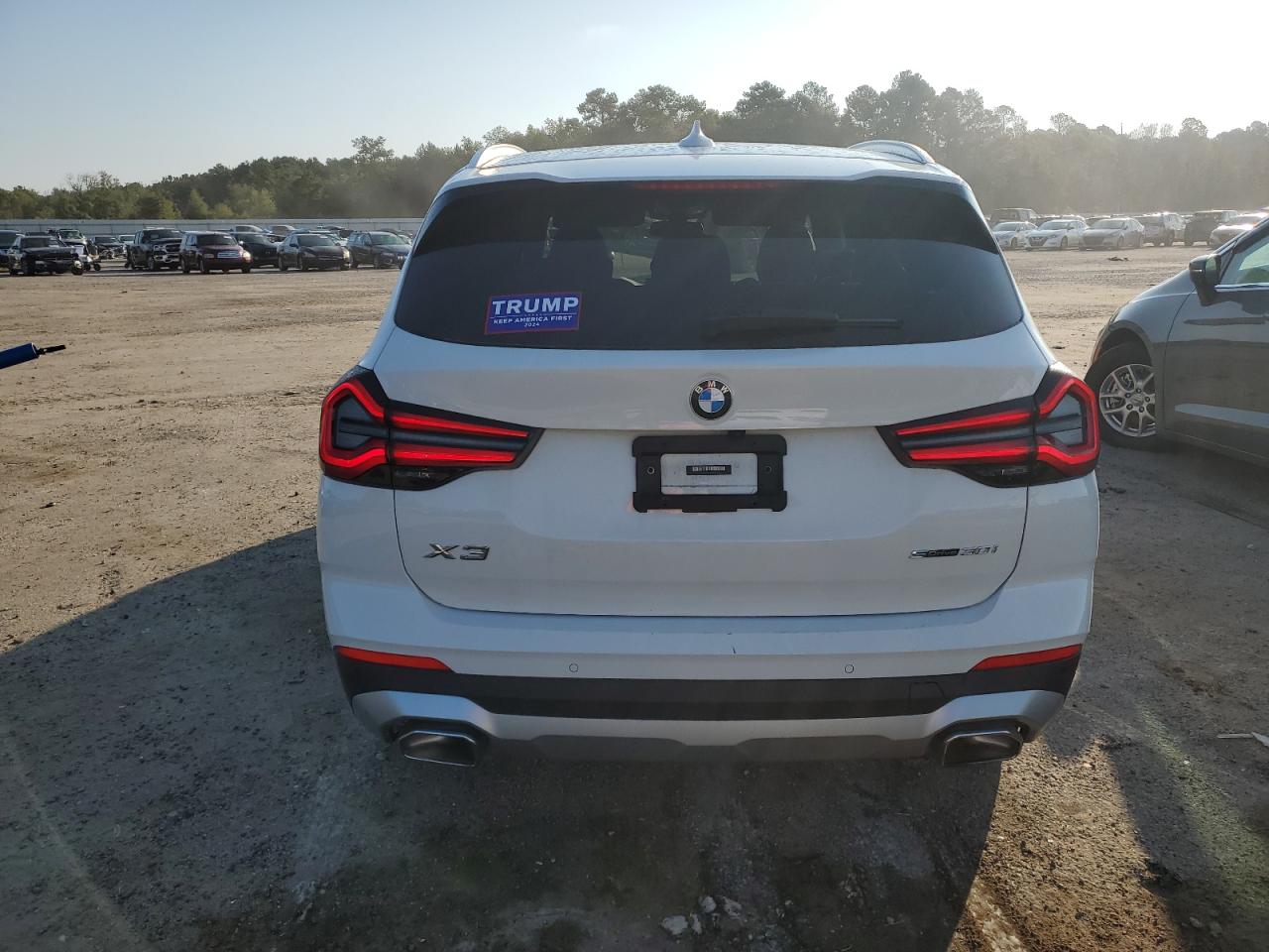 2023 BMW X3 SDRIVE30I VIN:5UX43DP03P9R67440