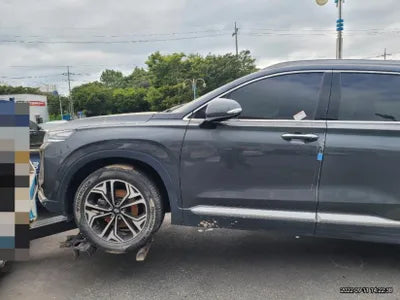 2020 Hyundai Santa FE KMHS281BBLU300829 VIN:KMHS281BBLU300829