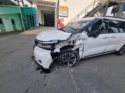 2020 Kia Carnival KNANC81BBMS015175 VIN:KNANC81BBMS015175