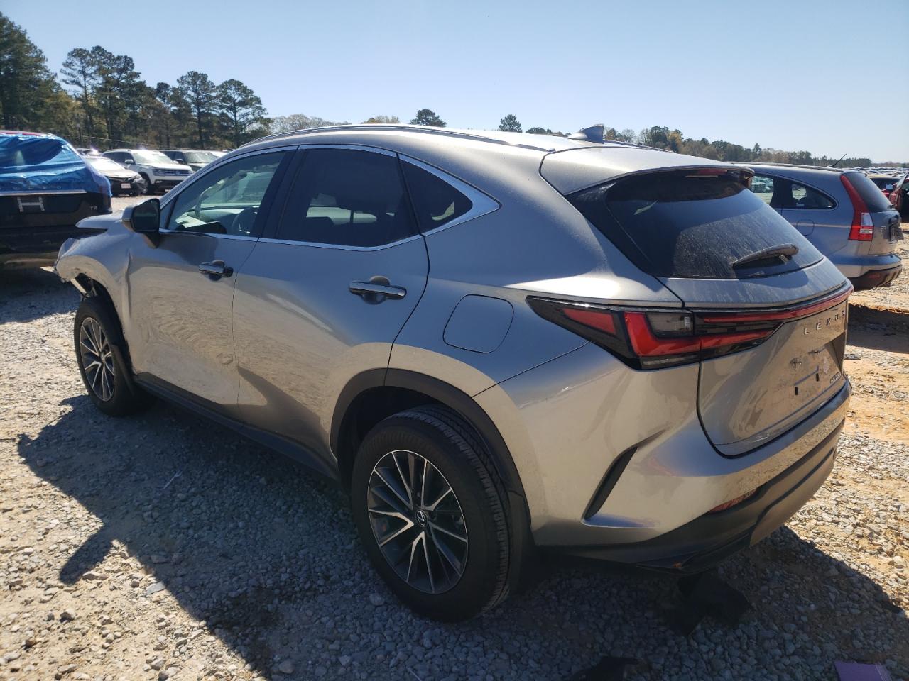 2024 LEXUS NX 250 BASE VIN:2T2ADCAZ3RC008065
