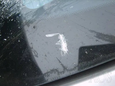 2017 Hyundai Ioniq KMHC851CGJU060281 VIN:KMHC851CGJU060281